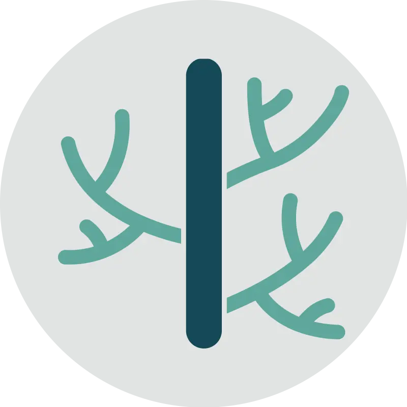 Upperline Health Vein Care Upperline Health Vein Care